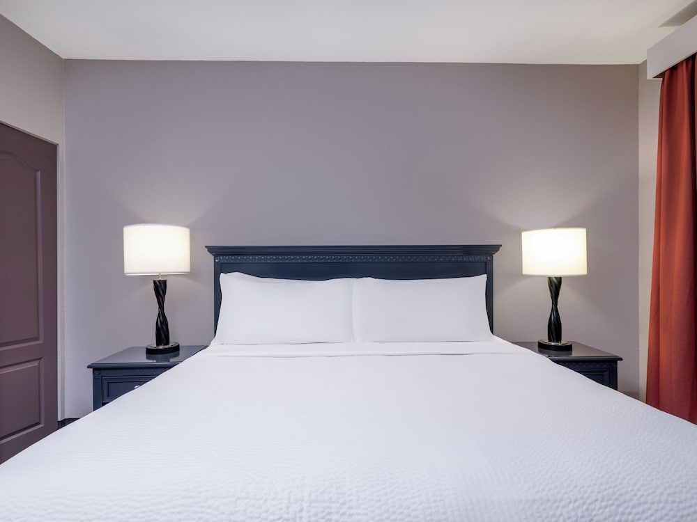 Suite, 1 Bedroom photo 2