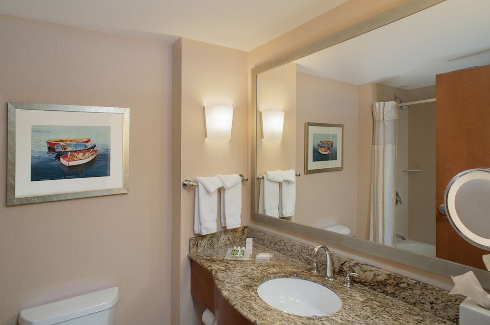 Suite, 1 King Bed, Accessible, Bathtub (Mobility & Hearing, Water View) - Photo 4