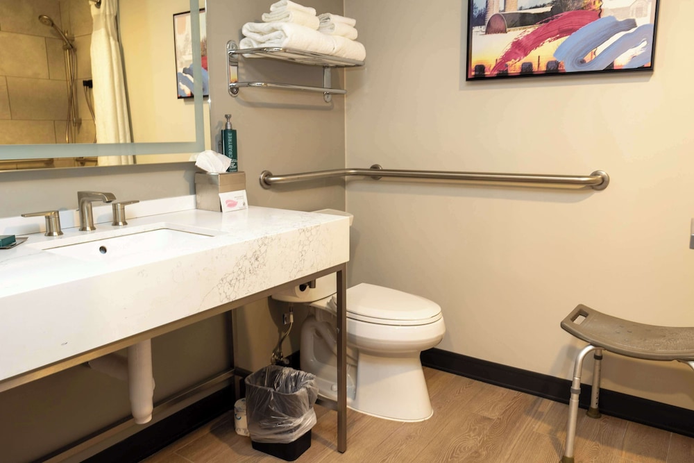 Room, 1 King Bed, Accessible, Bathtub (Mobility & Hearing)