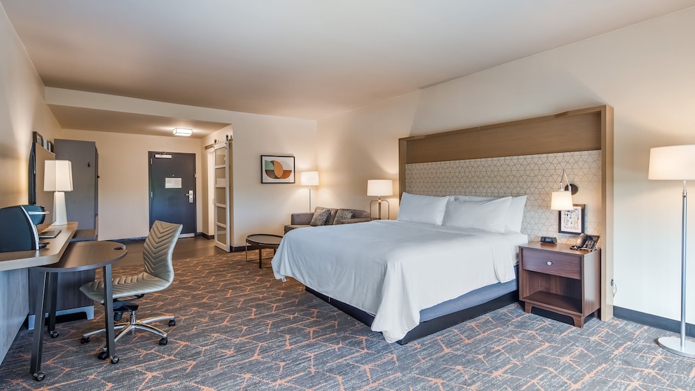 Room, 1 King Bed with Sofa bed, Roll-in Shower (Mobility Accessible)