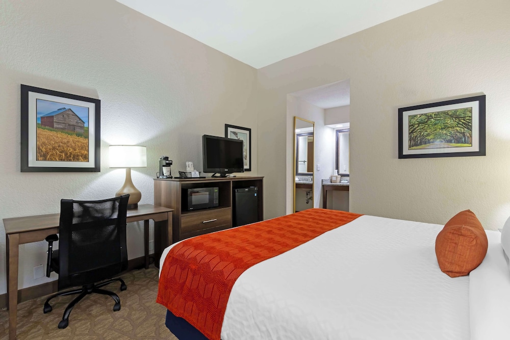 Standard Room, 1 King Bed, Non Smoking, Refrigerator & Microwave photo 3