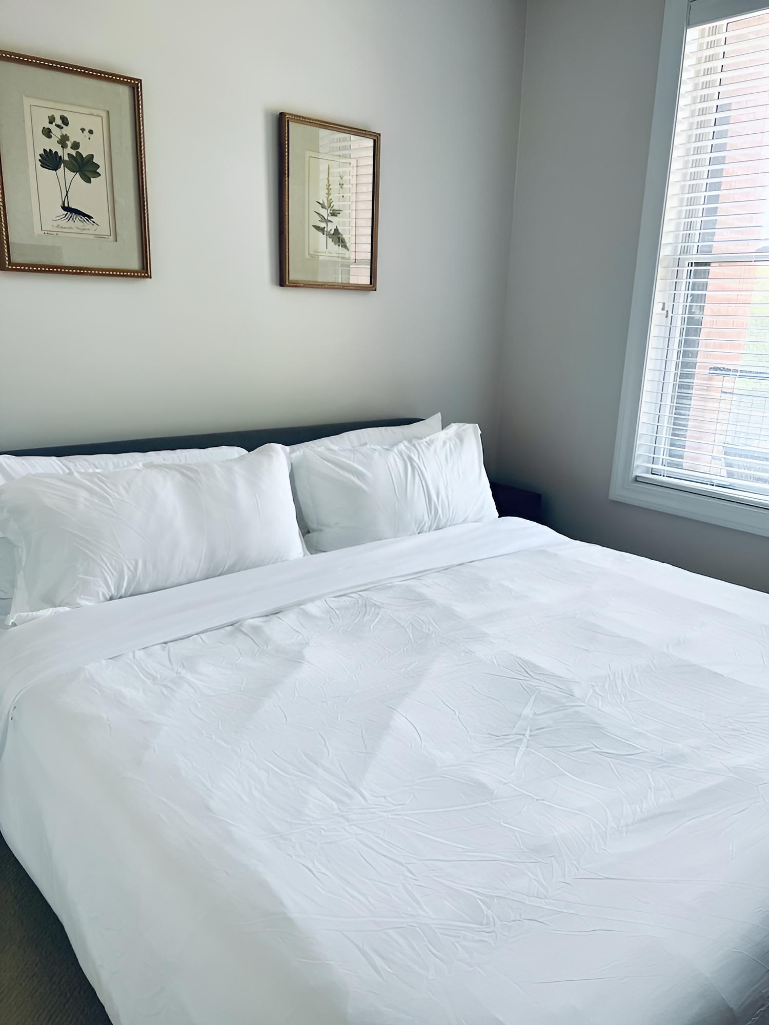 Deluxe Suite photo 3