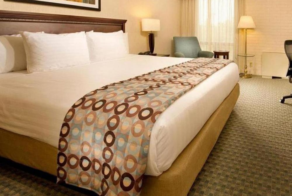 Standard Room, 1 King Bed - Photo 4