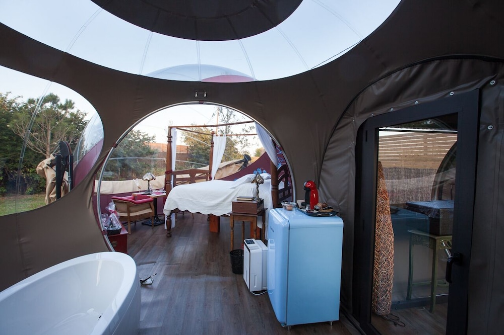 Habitación (Bubble Bosque)