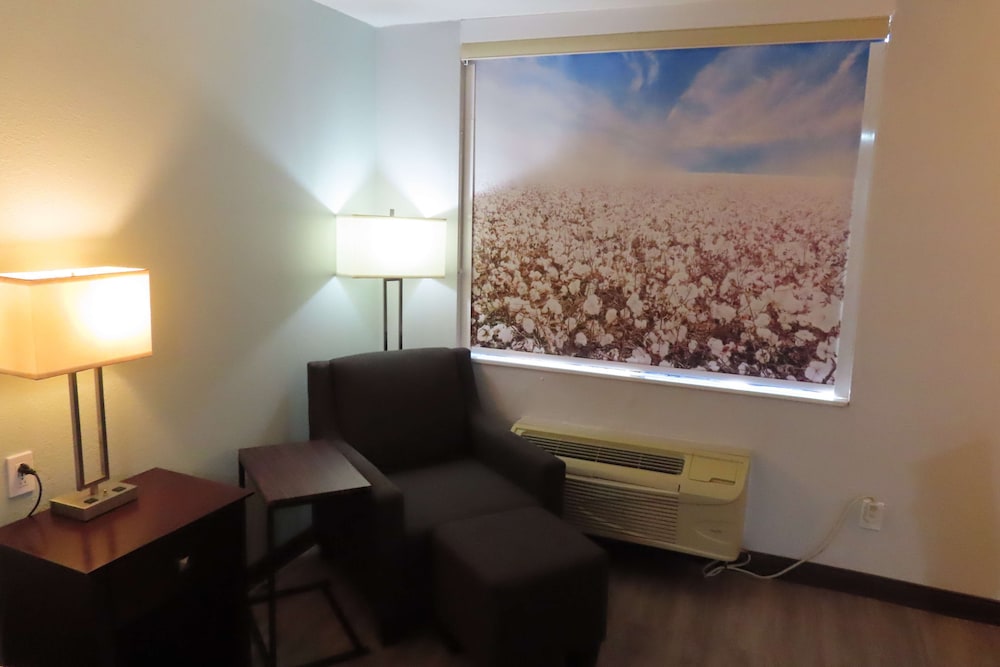 Standard Room, 1 King Bed, Non Smoking, Refrigerator & Microwave - Photo 2