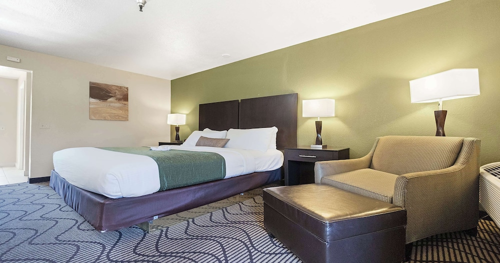 Standard Room, 1 King Bed, Non Smoking, Refrigerator & Microwave - Photo 8
