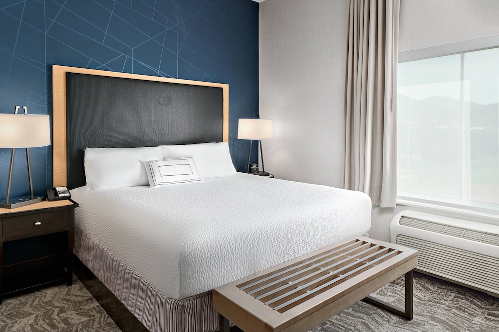 Suite, 1 King Bed with Sofa bed
