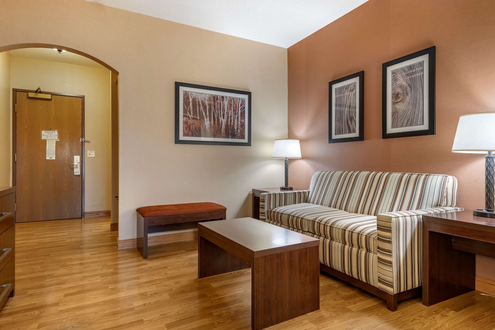 Suite, 1 King Bed, Non Smoking, Microwave (with Sofabed) photo 1