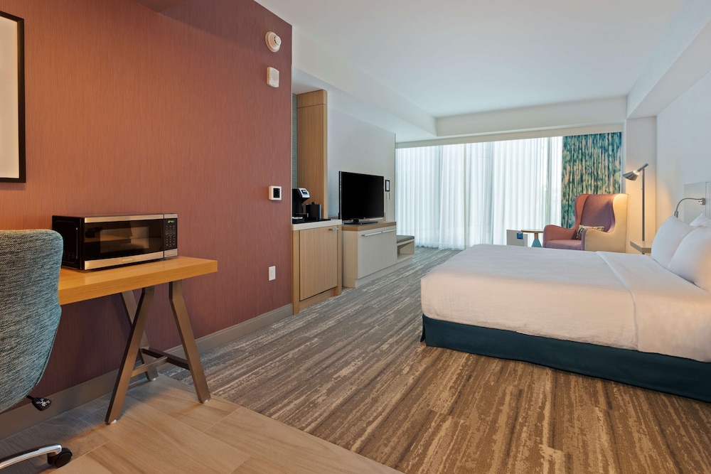 Room, 1 King Bed, Accessible (Roll-In Shower)