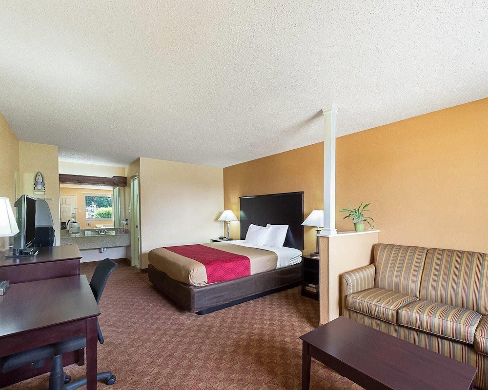 Suite, 1 King Bed with Sofa bed, Non Smoking - Photo 1