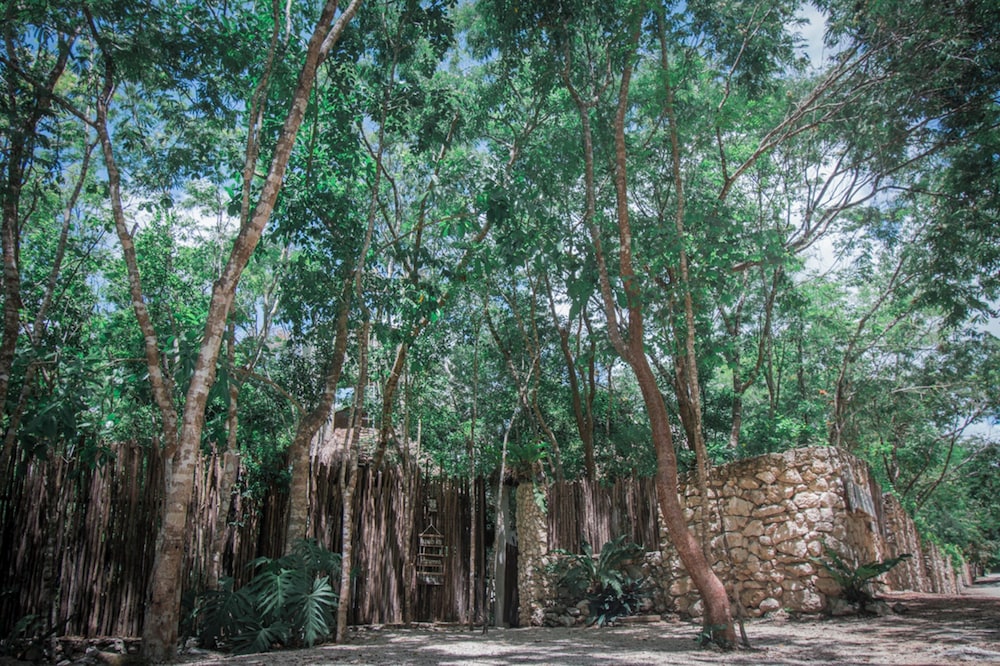 Mayan Gods Cabins - Photo 2