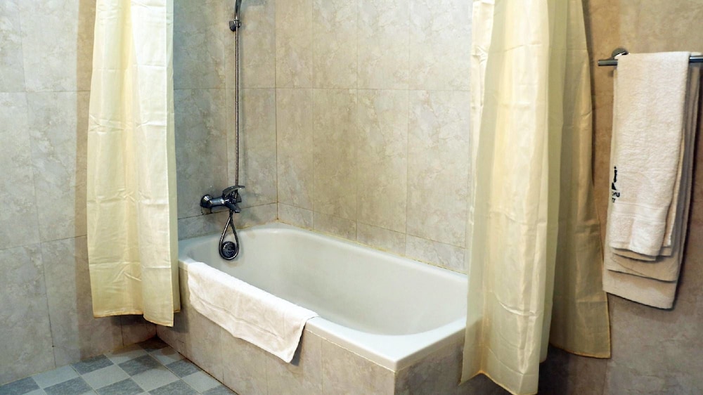 Deluxe Double or Twin Room photo 3