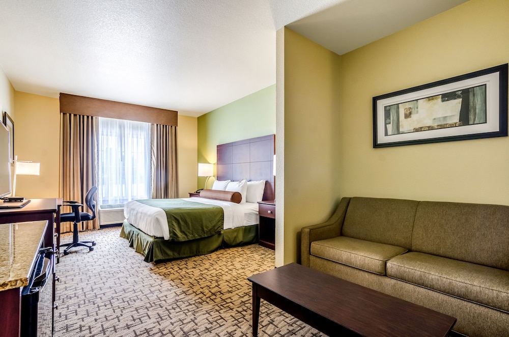 Suite, 1 King Bed, Non Smoking - Photo 1