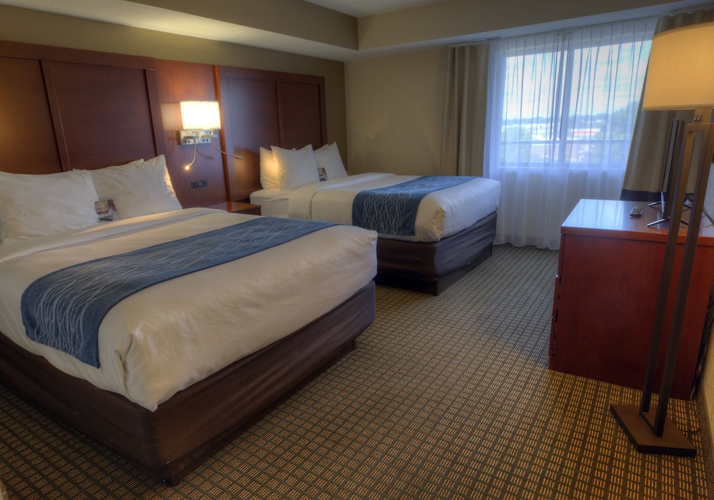 Efficiency, Suite, Multiple Beds, Non Smoking - Photo 6