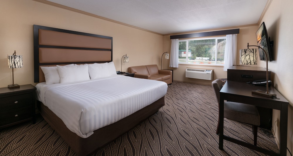 Room, 1 King Bed