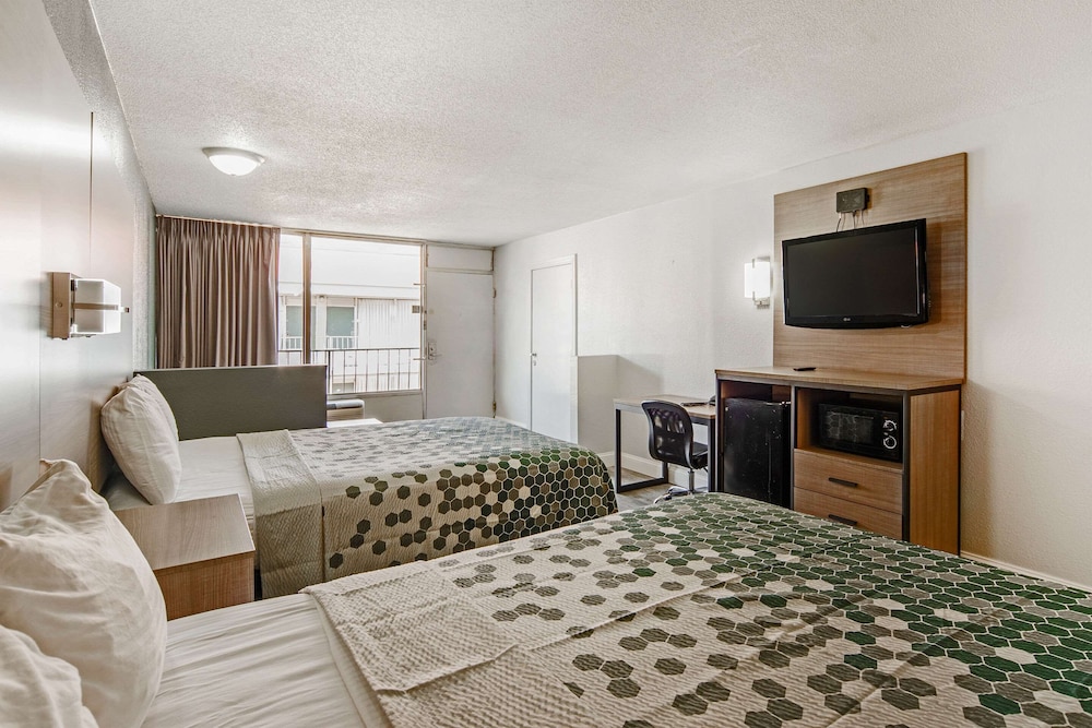 Suite, Non Smoking photo 3