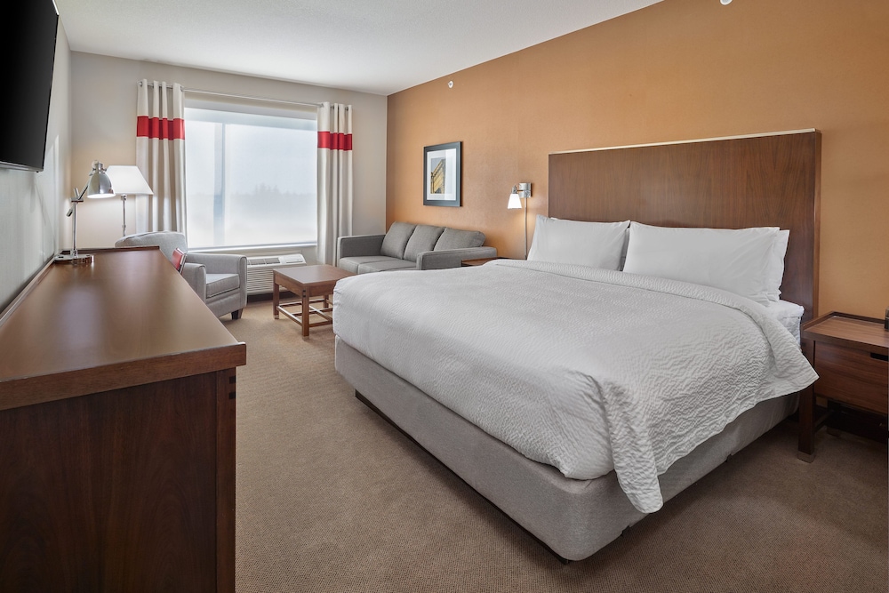 Deluxe Room, 1 King Bed with Sofa bed