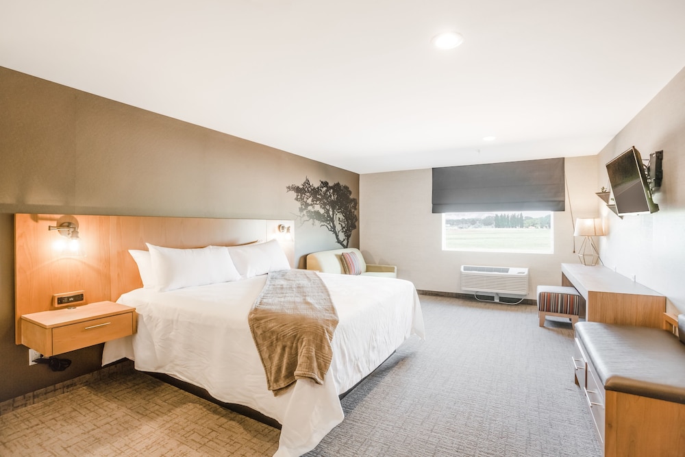 Elite Room, 1 King Bed with Sofa bed, Refrigerator & Microwave, Desert View photo 2