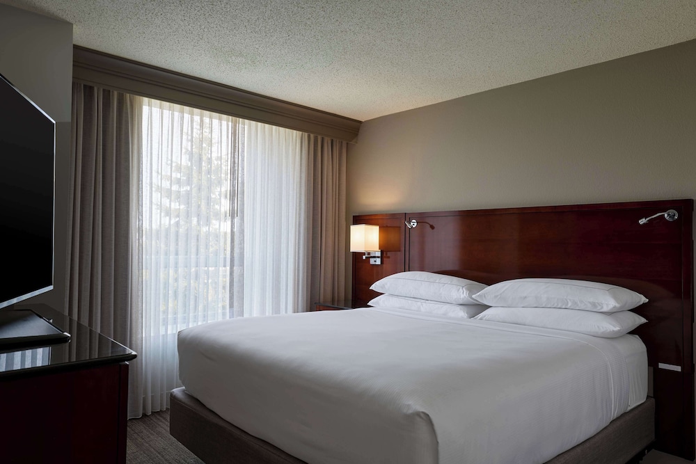 Suite, 1 King Bed photo 2
