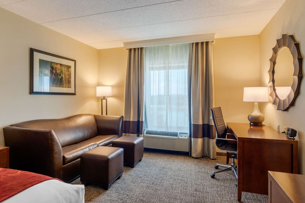 Studio Suite, 1 King Bed with Sofa bed, Accessible (Mobility and Hearing Accessible) - Photo 3
