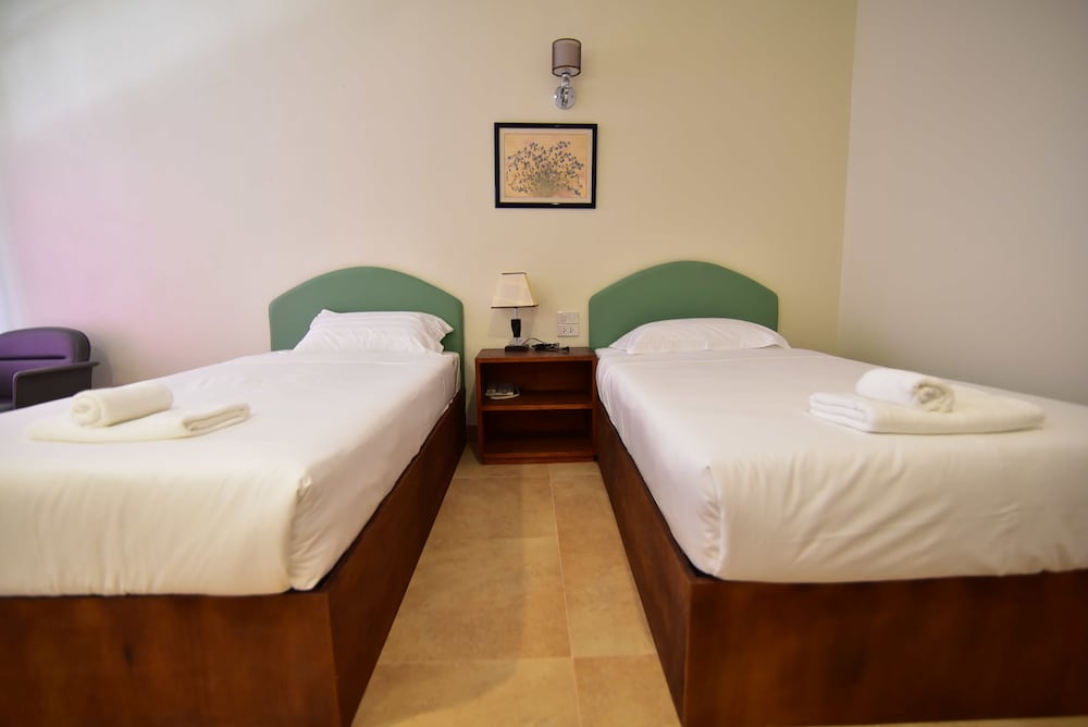 Deluxe Twin Room photo 1