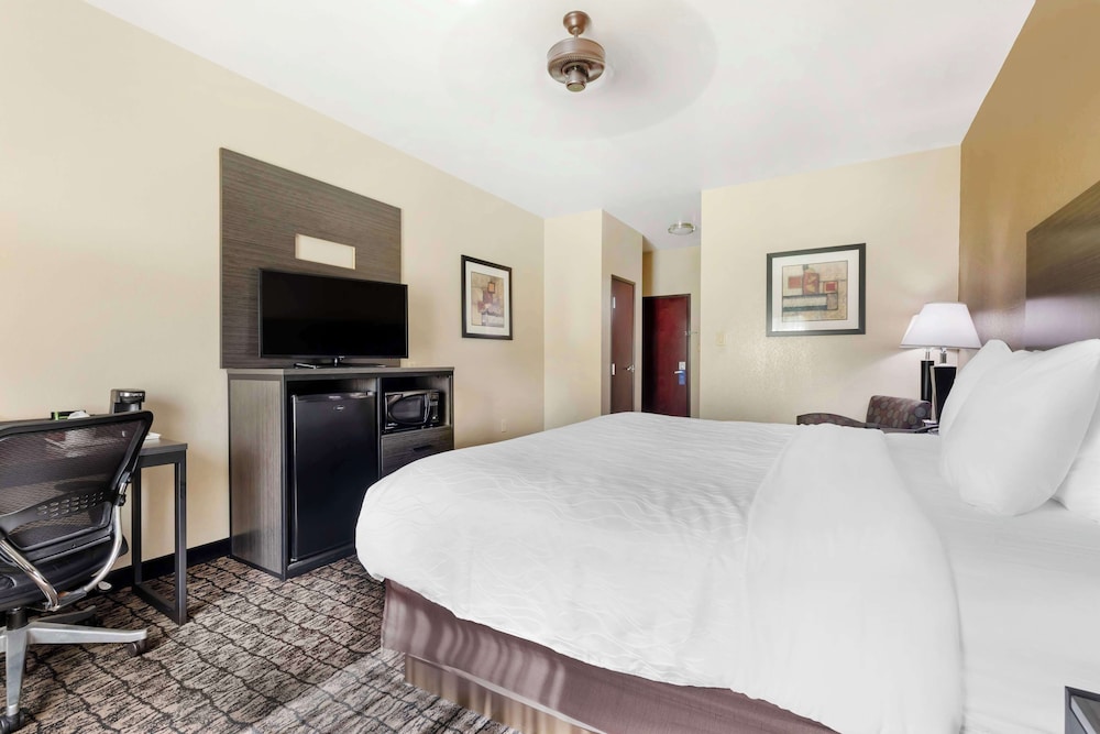 Standard Room, 1 King Bed, Non Smoking, Refrigerator & Microwave - Photo 2
