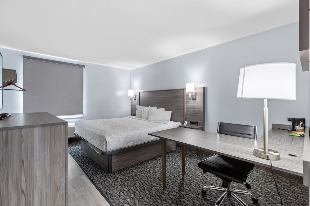 Superior Room, 1 King Bed - Photo 4