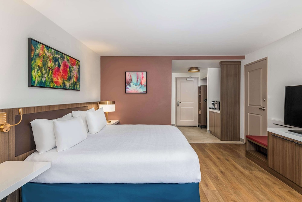 Room, 1 King Bed (Roll-In Shower, with Peloton) photo 2