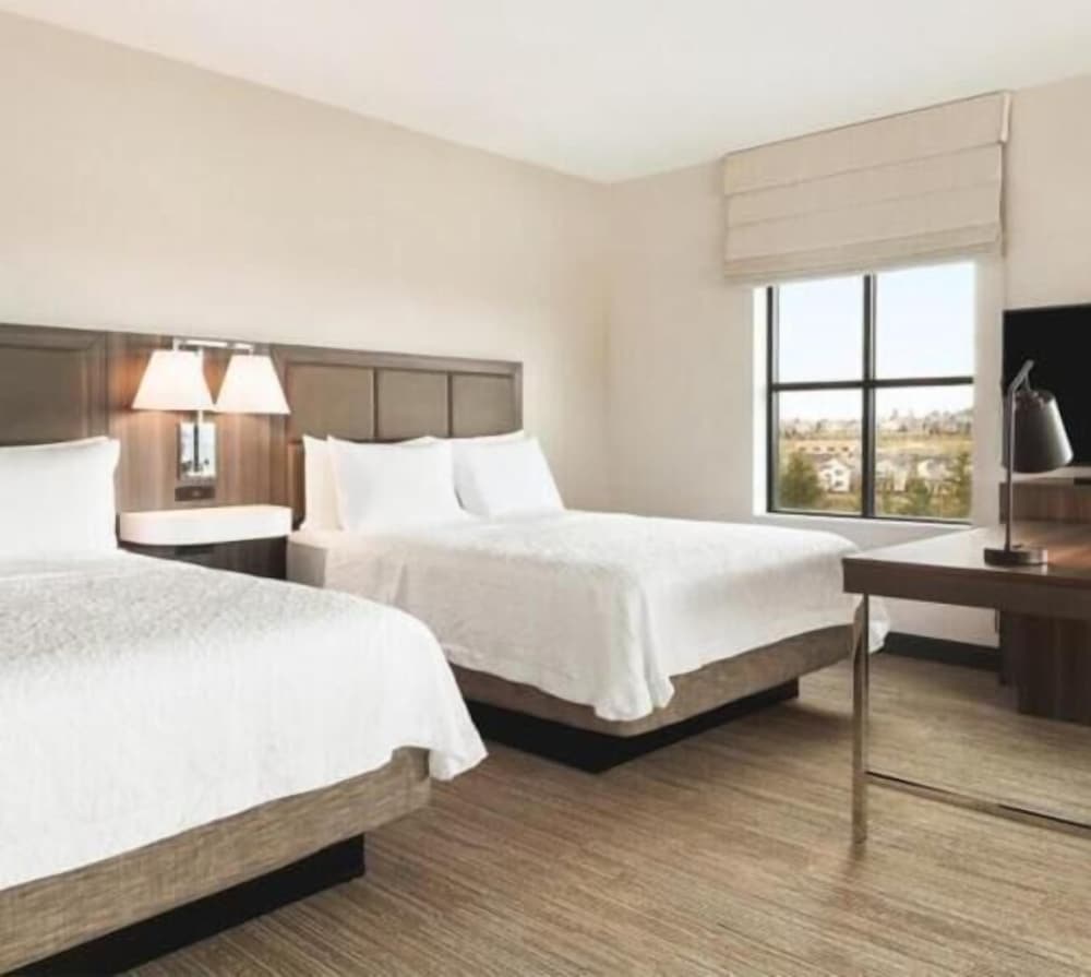 Studio Suite, 2 Queen Beds photo 2