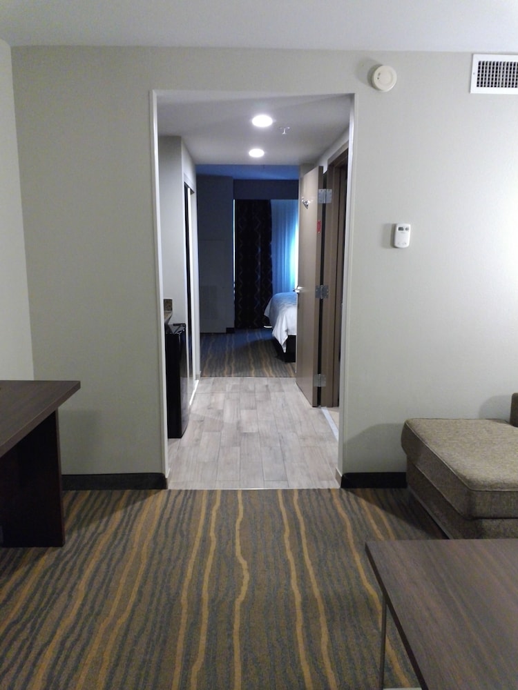 Suite, 1 King Bed with Sofa bed, Accessible (Communications) - Photo 4