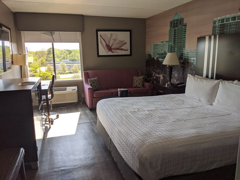 Room, 1 King Bed, Non Smoking - Photo 2
