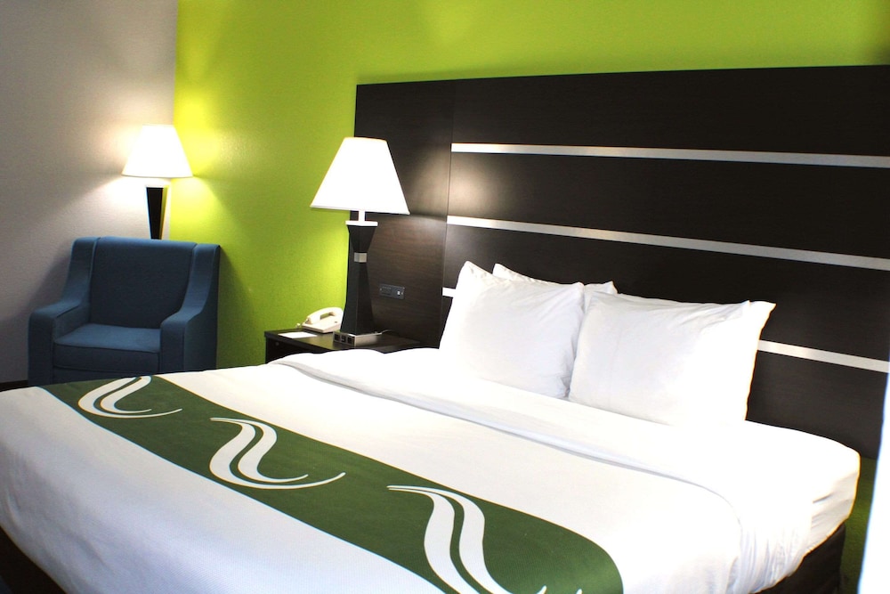 Studio Suite, 1 King Bed with Sofa bed photo 1