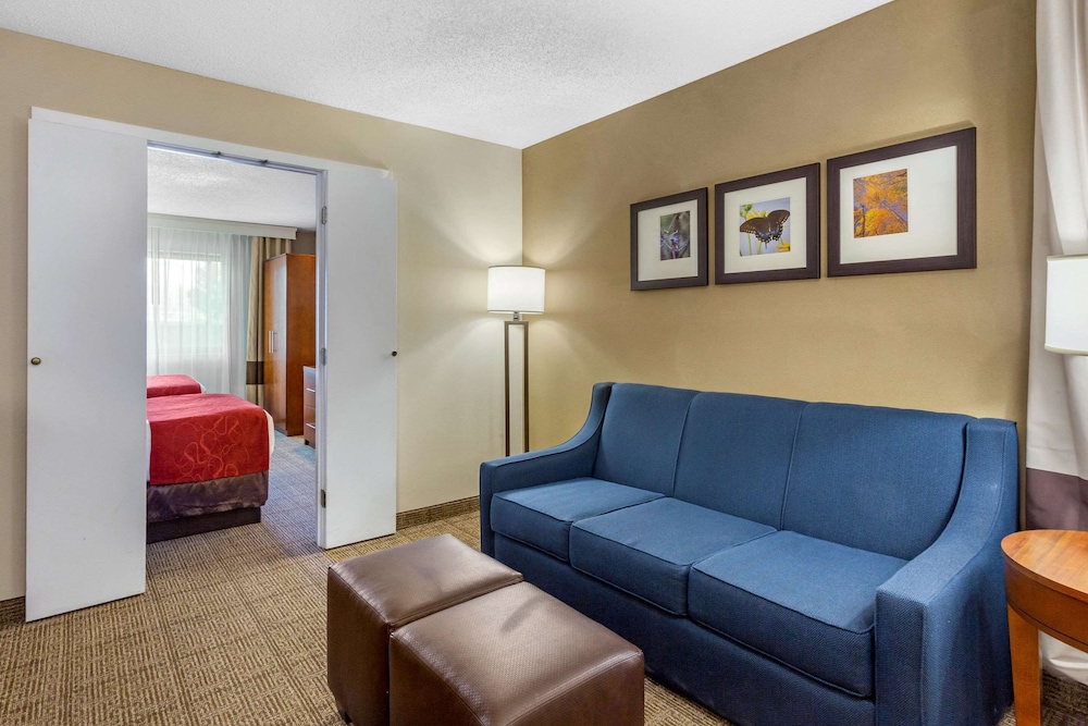 Business Suite, 2 Double Beds with Sofa Sleeper - Photo 3