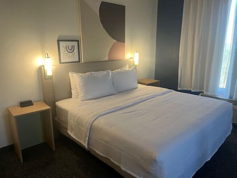 Room, 1 King Bed, Accessible, Bathtub (Mobility) - Photo 4