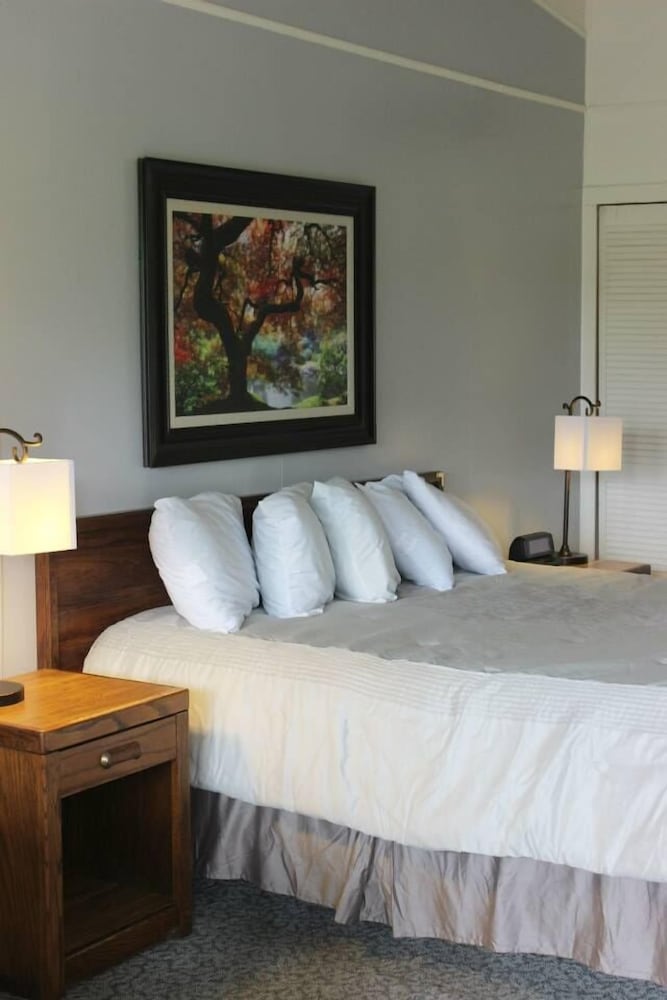 Traditional Room, 1 King Bed, Jetted Tub photo 3
