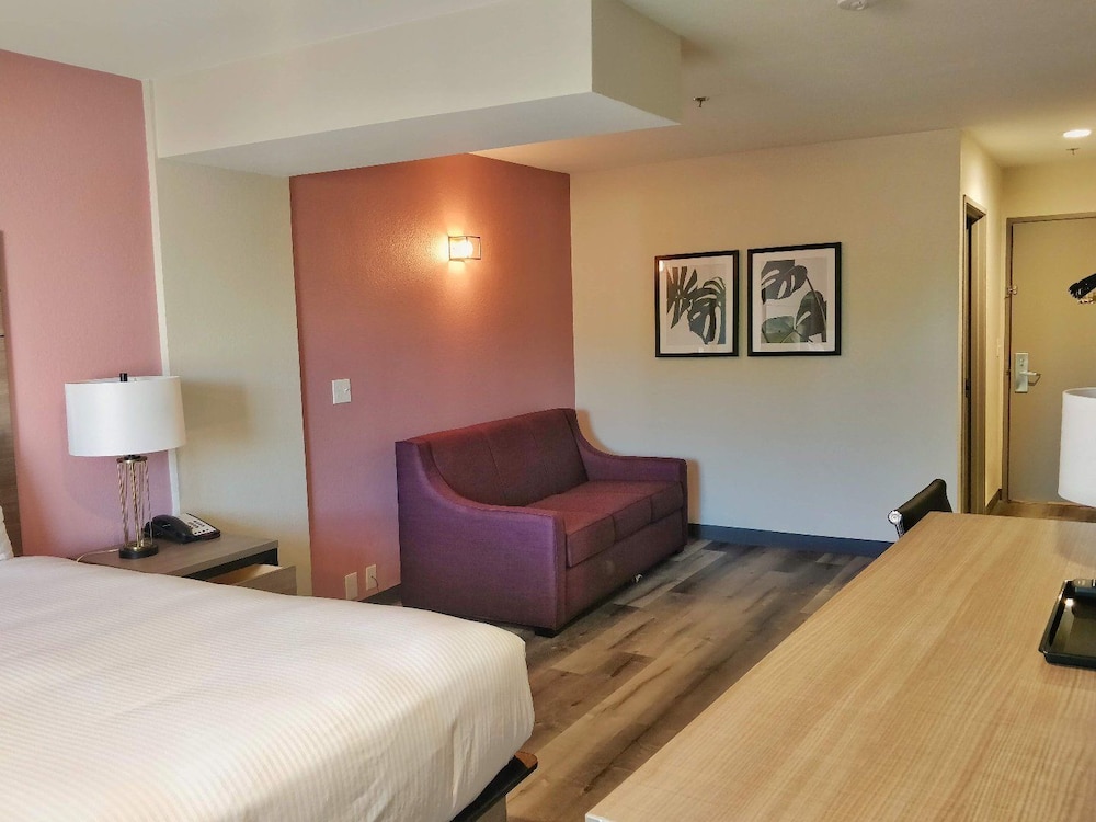 Suite, 1 Queen Bed - Photo 3