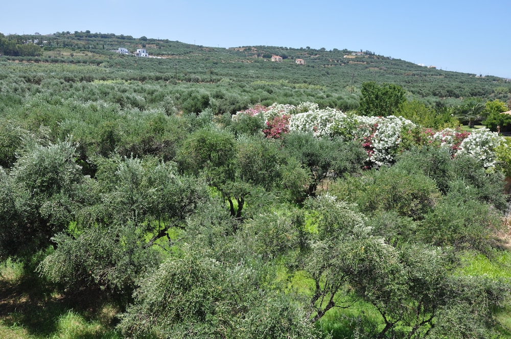 Eria Resort Accessible Holidays, Foto 6
