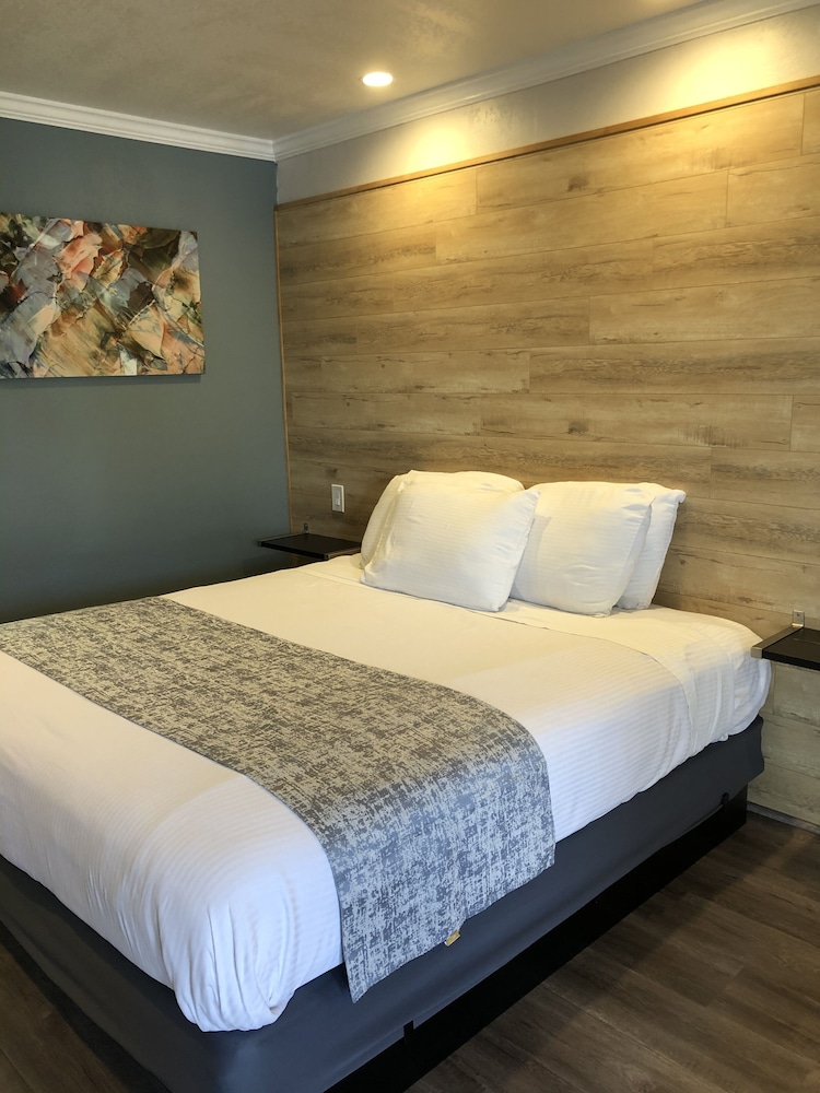 Deluxe Suite, 1 King Bed - Photo 4