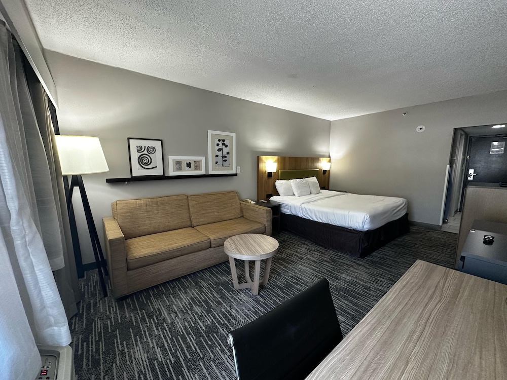 Studio Suite, 1 King Bed with Sofa bed, Non Smoking photo 2