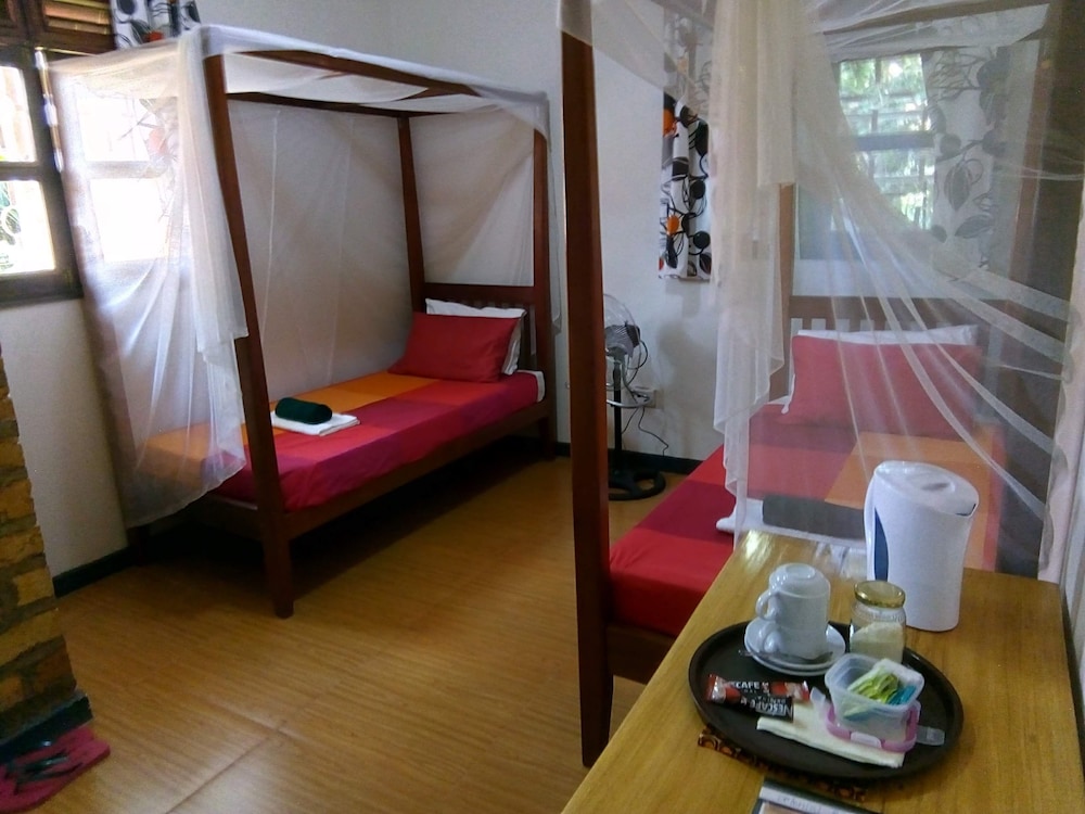 Twin Room photo 1