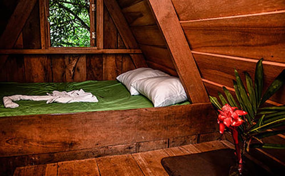 Standard Chalet, 1 Bedroom, Courtyard View photo 1