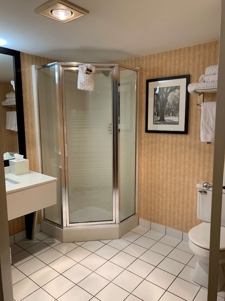 Suite, 1 King Bed, Non Smoking, Jetted Tub - Photo 8