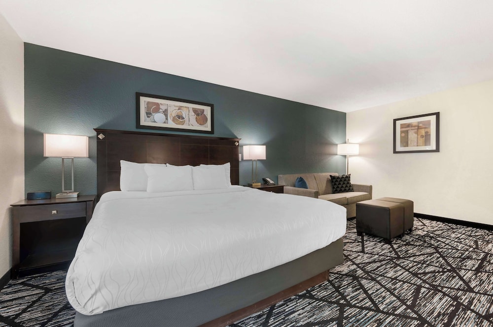 Standard Room, 1 King Bed, Accessible, Non Smoking (Walk-in Shower;with Sofabed) - Photo 6