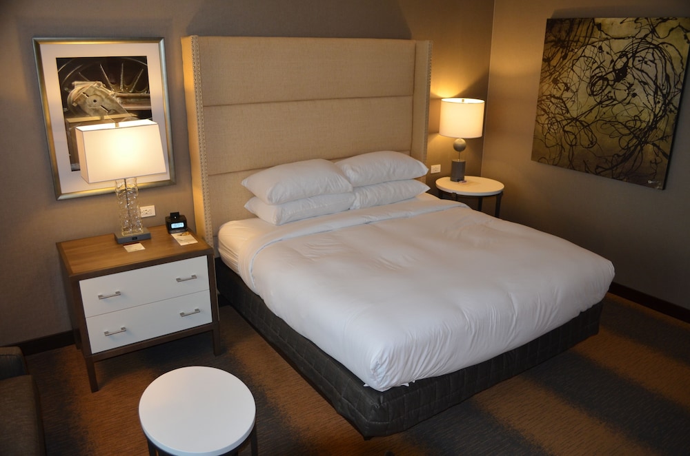 Room, 1 King Bed, Accessible (Roll In Shower)