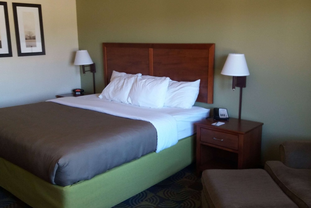 Deluxe Studio Suite, 1 King Bed, Non Smoking - Photo 1