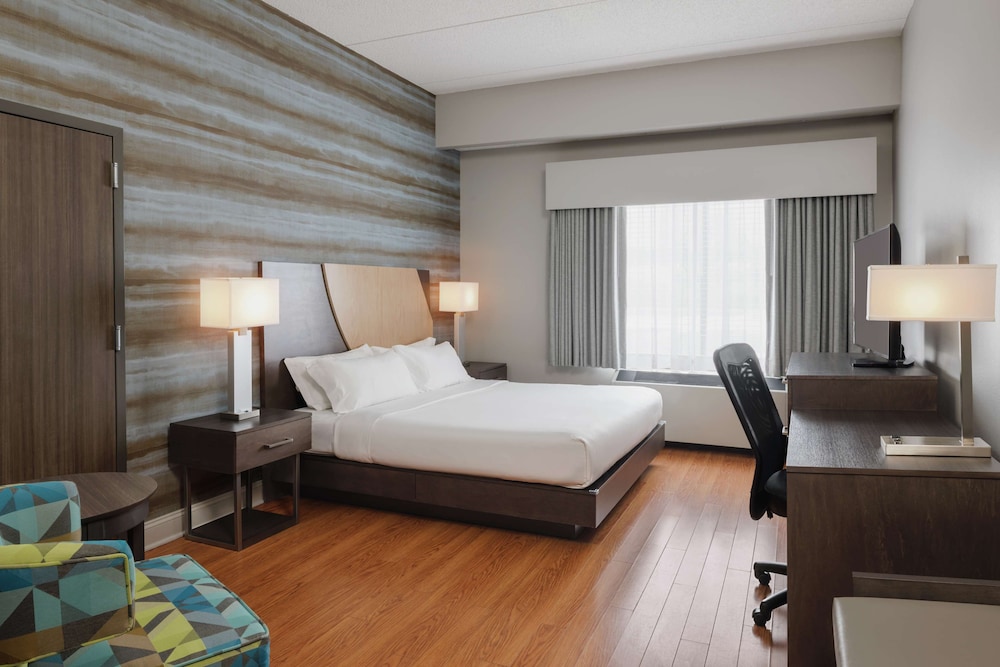 Room, 1 King Bed, Accessible (Roll-In Shower)
