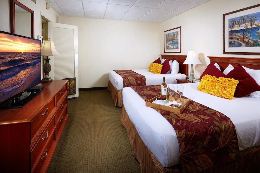 Standard Apartment, 1 Double Bed, Kitchen (with Sofabed) photo 3