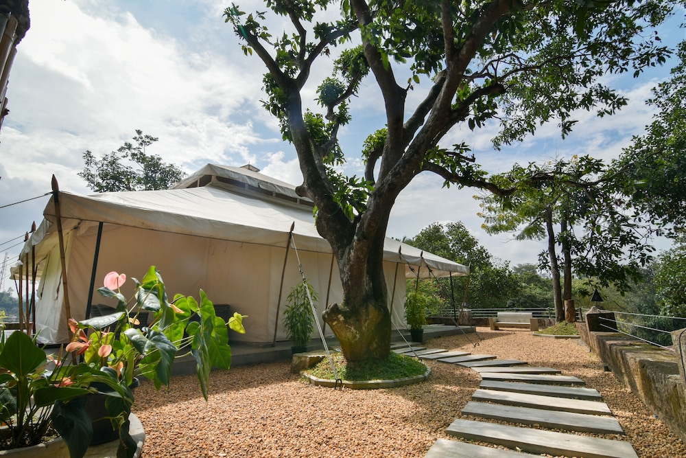 Royal Tent (Luxury Tented) photo 3