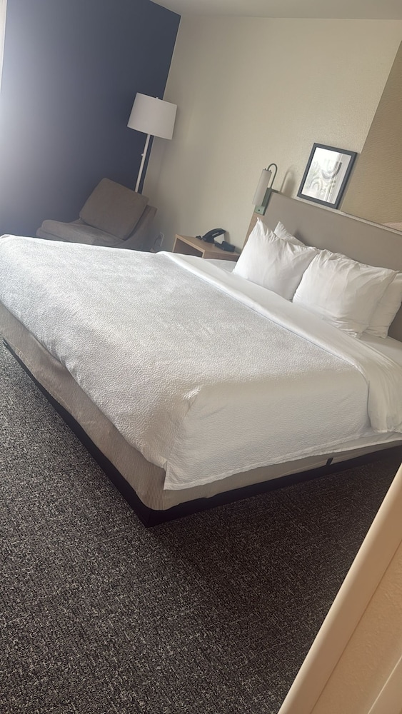 Room, 1 King Bed, Accessible (Mobility & Hearing, Roll-in Shower) - Photo 2