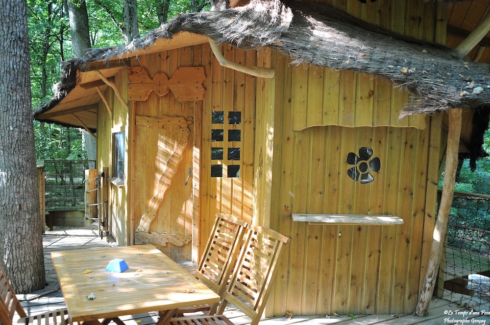 Tree House photo 2